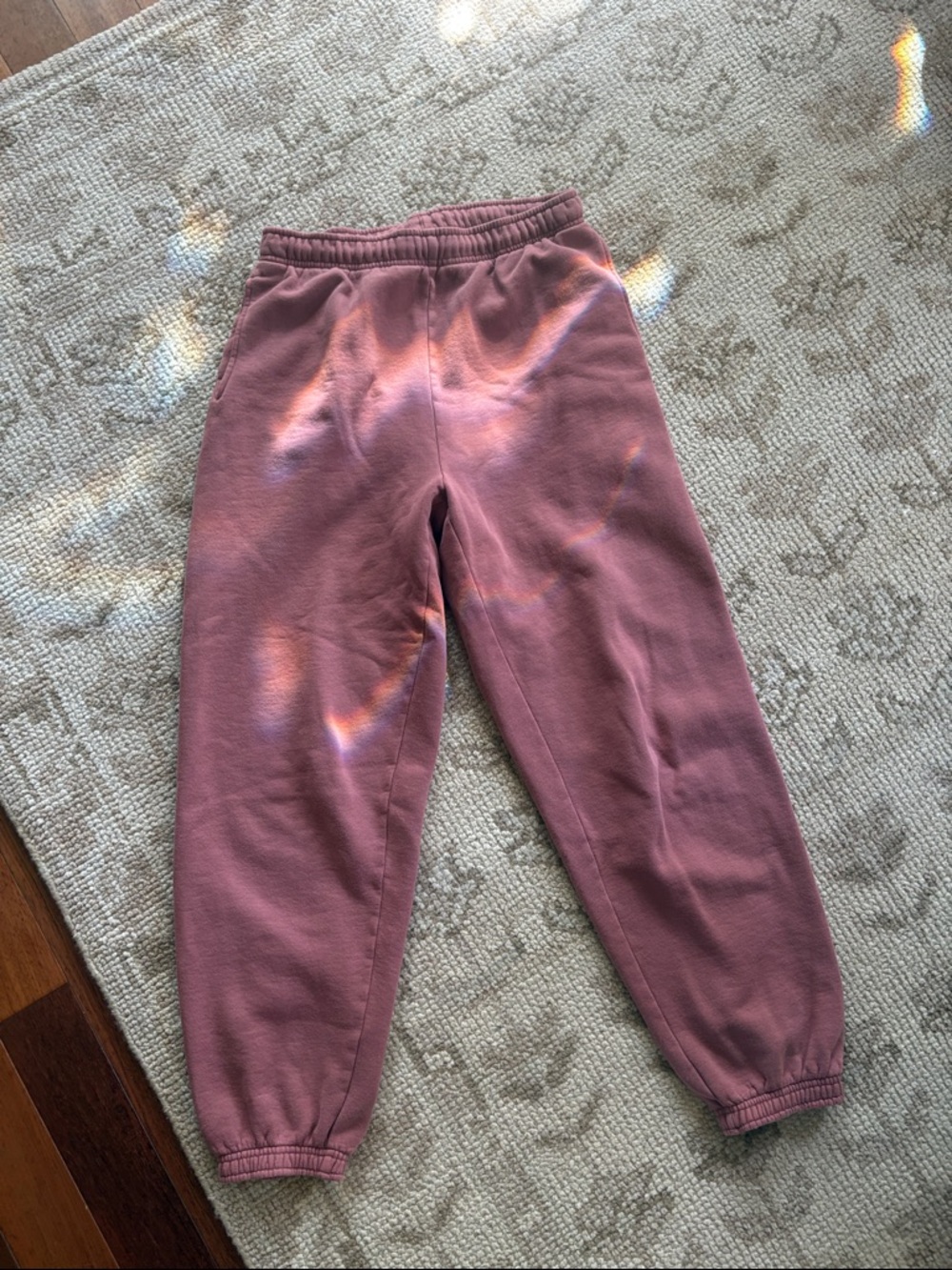 Aritzia TNA Cozy Sweatfleece Mega Jogger
